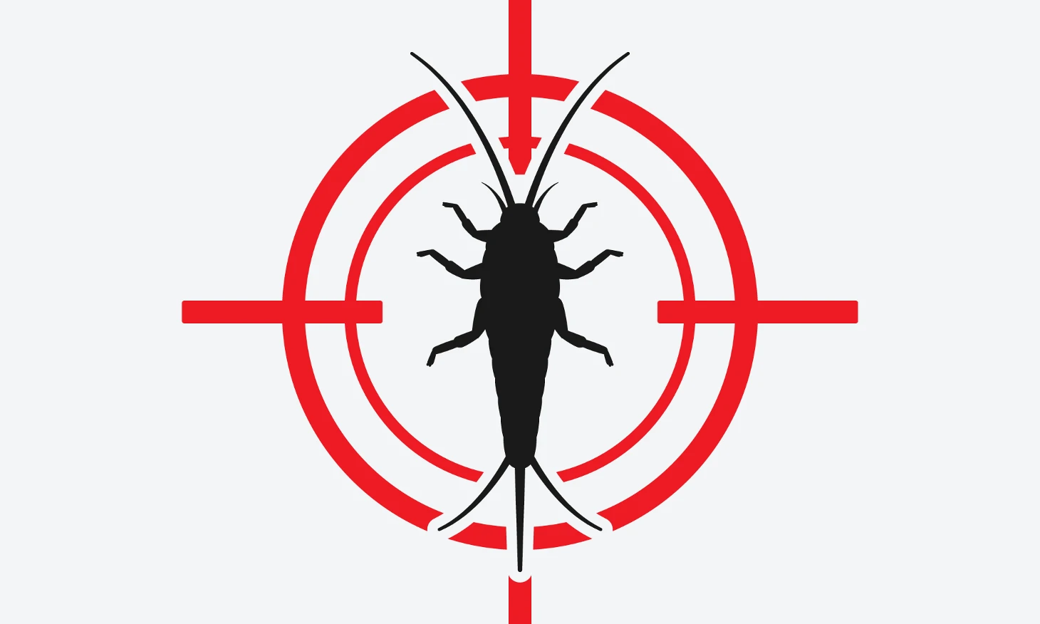 Se débarrasser des poissons d’argent naturellement : guide complet